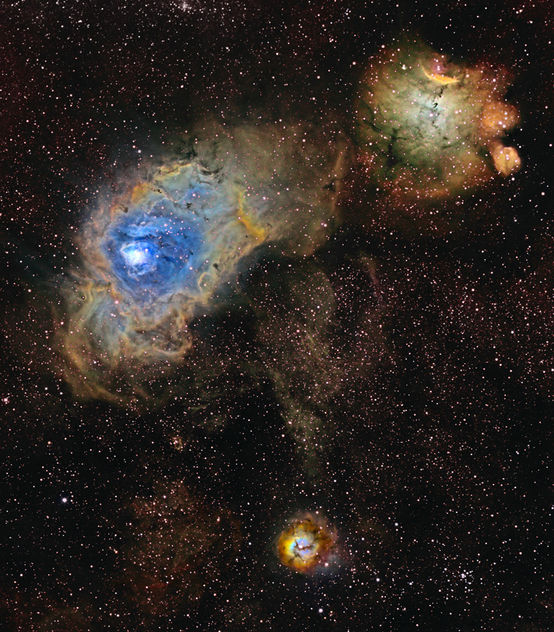 Lagoon, Trifid & Friends